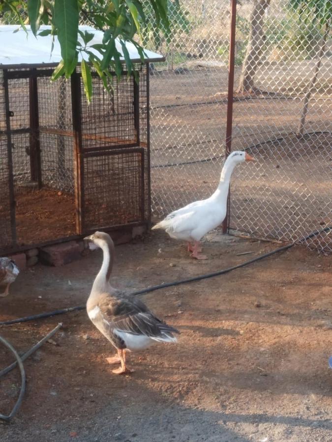 イガットプリ Bimalfarm At Koroli Hillsヴィラ エクステリア 写真